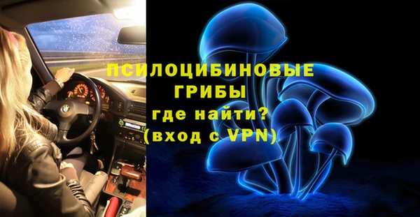 крисы Алексин